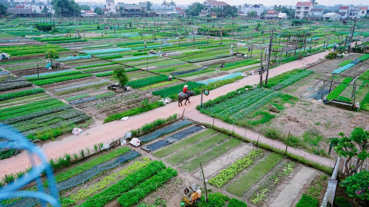 Tra Que Green Villa Hội An Buitenkant foto